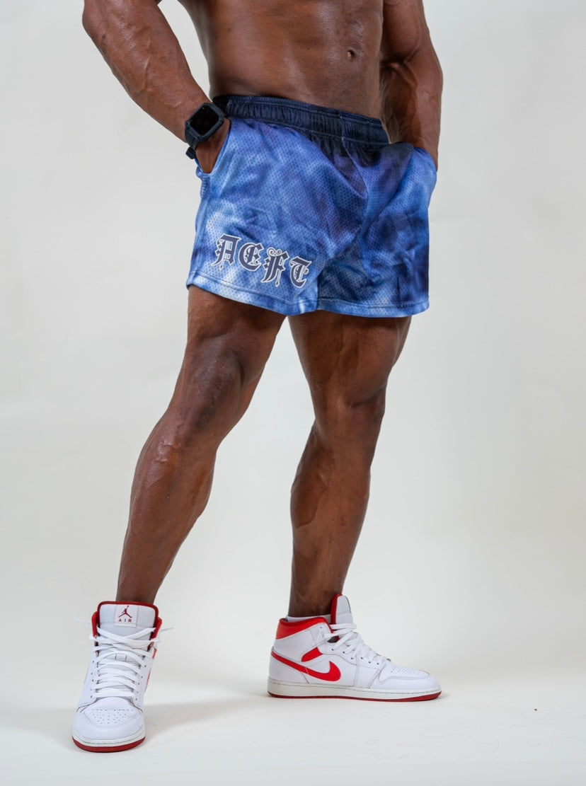 AEFT MESH SHORTS - BLUE GRADIENT